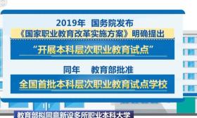 職業(yè)本科高校+5！它與高職專科、普通本科區(qū)別在哪？如何報(bào)考？