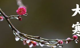 岁至大寒，且待春来