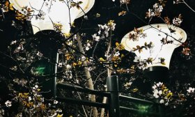 寻找山东最美大学|济南职业学院陈建坤《最美夜晚》