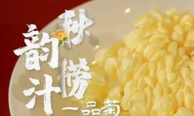 满满当当的“科技范儿”！“蛇”尖“农”味年夜饭，开席！