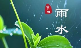 雨水至，草木萌动