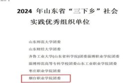 烟台职业学院“三下乡”社会实践获5类31项省级荣誉