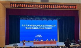 全省青少年校园足球高质量发展交流活动举办