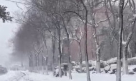 紧急应对暴雪！济南淄博等地15区县中小学明日停课