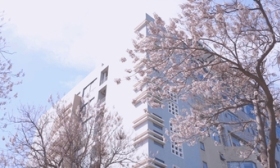 北邮研招办声明：不举办任何形式的考研复试辅导