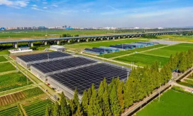 苏州市农业科技发展有限公司2025年3月招聘营销主管人员公告