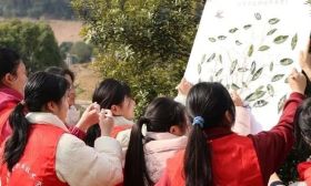 绿动校园添活力，情暖社区展担当