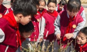 寻香识药！黄金谷学校四（2）中队开启中医药文化沉浸式研学