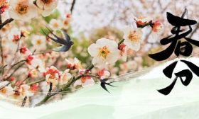 春分 | 二分春色里，万象更新时