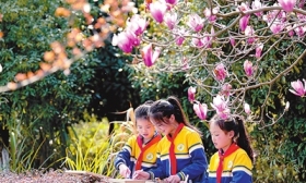 画出春天