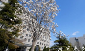 山东财经大学3位学者入选2024年“中国高被引学者榜单”