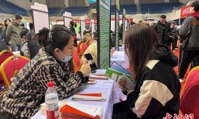沈陽打造校園版“人才港口”吸引青年人才在沈扎根