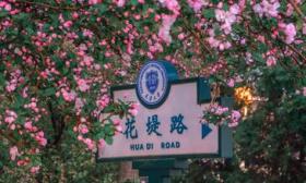 天津大学开启2025海棠季活动，4月6日将举办校园开放日