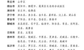 扩招150！2025山东地方专项计划，16所高校招3300人