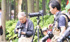 女教师上海街头怒怼“偷拍老法师”：天天就盯着小姑娘的腿拍