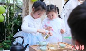 浙江校園“茶事”熱：茶香裊裊 潤澤童心