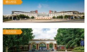 青岛科技大学获批增设网络空间安全本科专业，2025年拟招生！