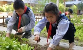 奋进在教育强省大道上 | 泰州：课上课下协同、校内校外一体、线上线下融合