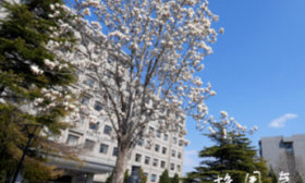 山东财经大学在全省高校辅导员工作创新项目评选中荣获佳绩