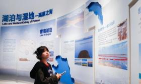 香港师生2025青海研学交流活动启动