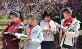 海棠树下品红楼 济南康虹路小学开展跨学科项目式学习