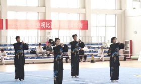 齐鲁医药学院师生在山东省高等院校太极拳锦标赛中获佳绩