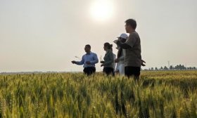 在希望的田野上“开课”：看山农大如何让学生“种”出毕业证