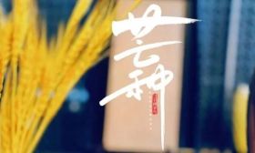 芒种寄愿，岁似穗满