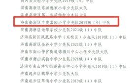 济南高新区丰奥嘉园小学这个中队获市级荣誉称号