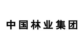 中国林业集团有限公司所属企业（北京）2025年6月社会招聘相关岗位公告