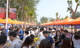 招聘信息技术人才，190多家企业走进山东信息职业技术学院