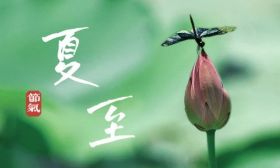 夏至，向陽而生
