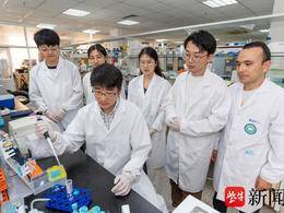百年來重大突破！東大團隊全球首創單細胞數字胚胎，破譯心臟發育密碼
