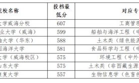 2025年山东高考白皮书｜往年省内本科高考录取数据分析（二）