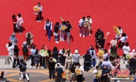 @所有考生，今年高校招錄有這些新變化
