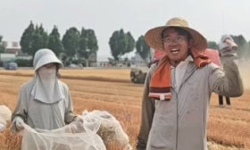 高教瞭望｜和大学生一起种小麦，种粮大户为啥“认赌服输”