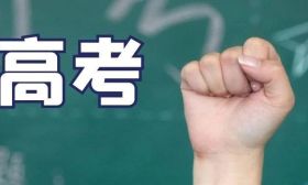 什么时候可以查询2025年高考录取情况？