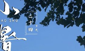 倏忽温风至，因循小暑来