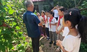 趣享田园时光！济南高新区丰奥嘉园小学开展采摘实践活动
