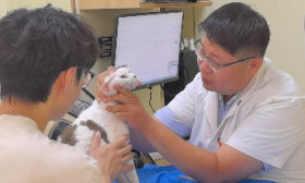职教先锋｜从“撸猫上课”到专科医师：揭秘宠物医生炼成记