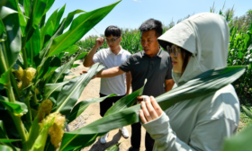“科技小院”里过暑假