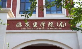 2025遇见鲁医丨临床医学院欢迎你！