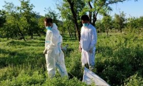 山东中医药高专医学系暑期“三下乡”：开展蜱虫及血清学监测