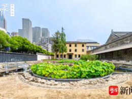 视频|南京李公祠荷花池遗址获国际大奖，今年有望向公众开放！