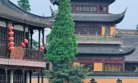 苏州 国有 资本 投资 集团