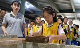 保定“探”馆：非国有博物馆成激活文旅活力新引擎