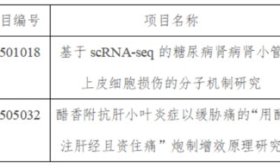 齐鲁医药学院2025年国家自然科学基金获批资助实现突破