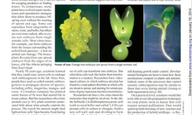 “这是科学家的责任”，山农大团队讲述解锁世纪难题的背后故事