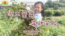 “钻进”泥土里！解锁周末的打开方式