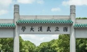 武汉大学通报杨某媛事件复核结果